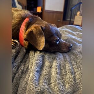 Extra shipping label